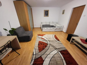 Large and comfortable studio Mall Vitan area